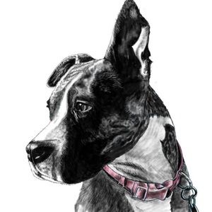 Meet your Posher, Amha